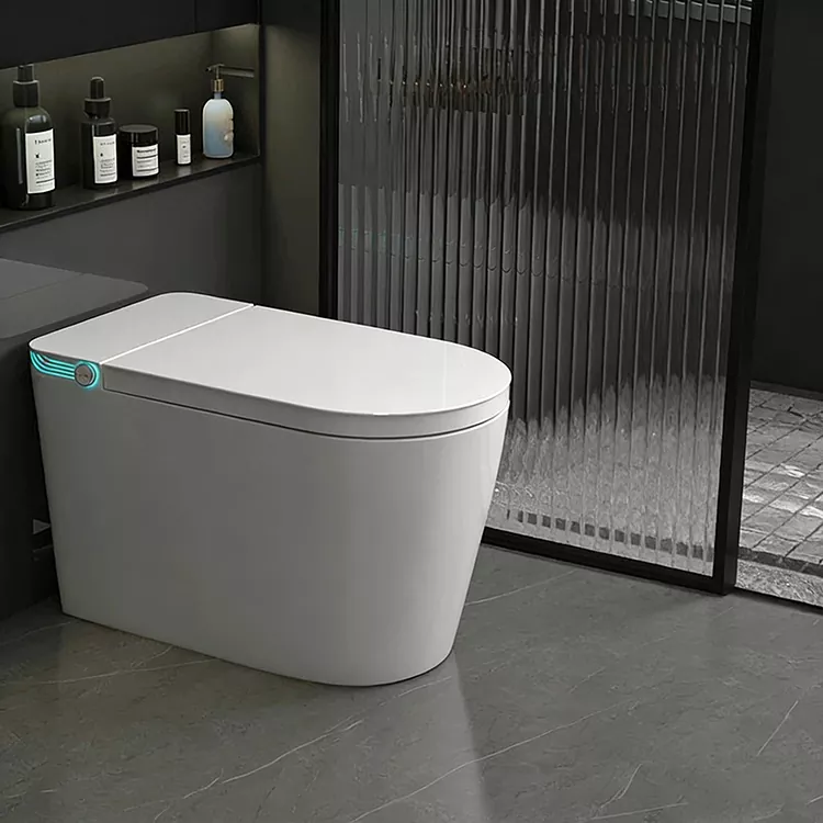 Nirkabel Jauh-dikadalikeun Spray Nozzle Sterilization Smart Toilet